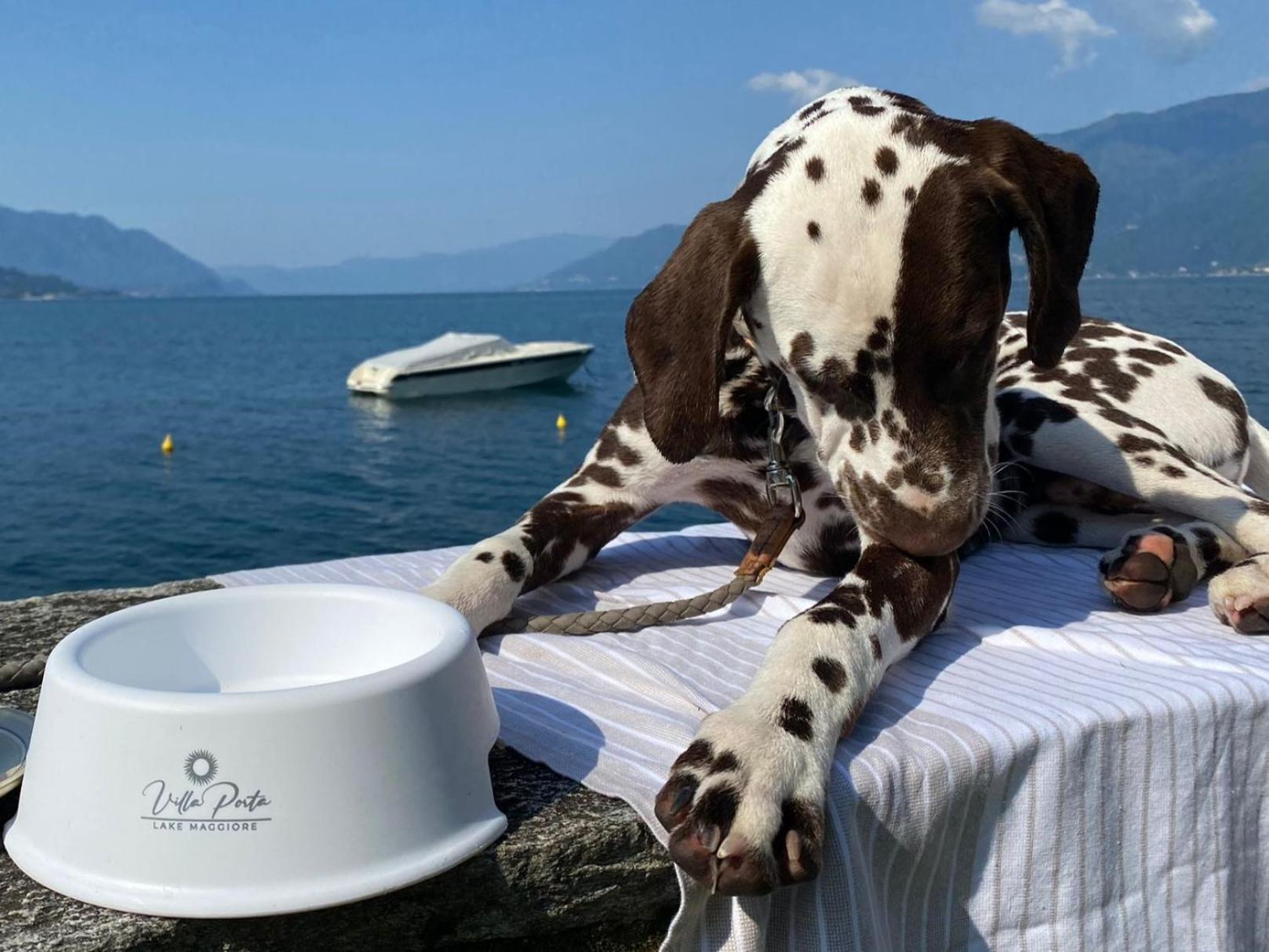 Relais Villa Porta Luino Eksteriør bilde